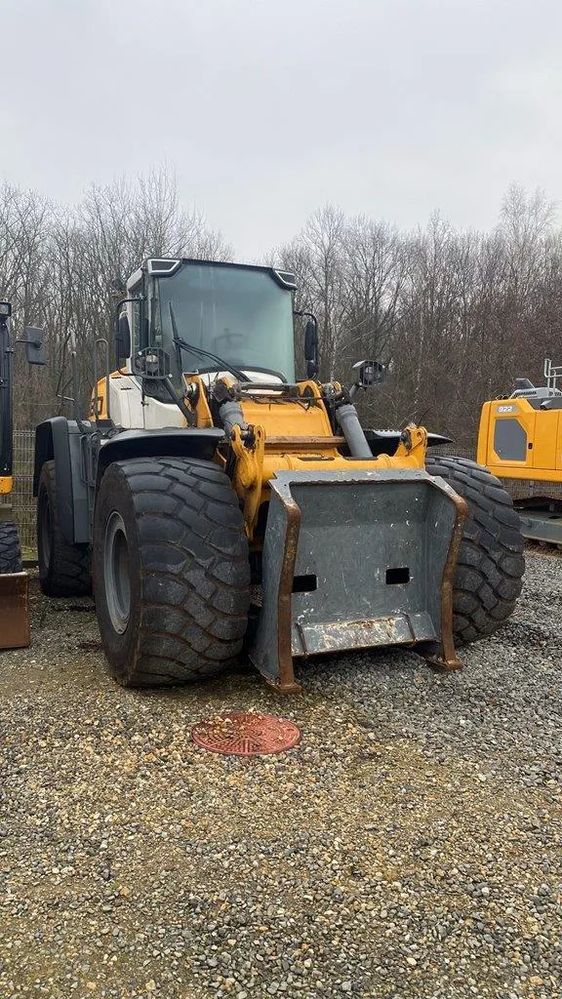 Liebherr L 580 log handler 2020