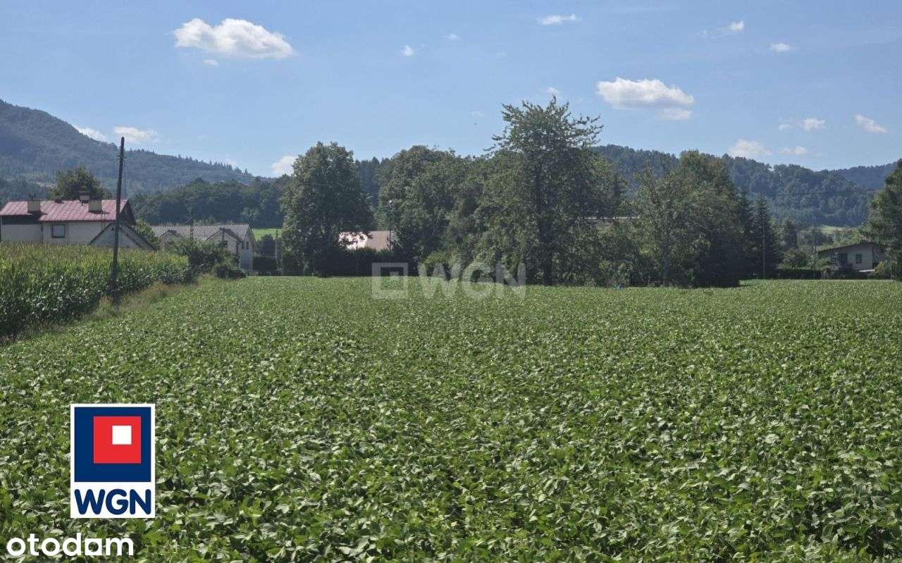 Działka, 3 218 m², Równia - Pełny obrazek: 4/18