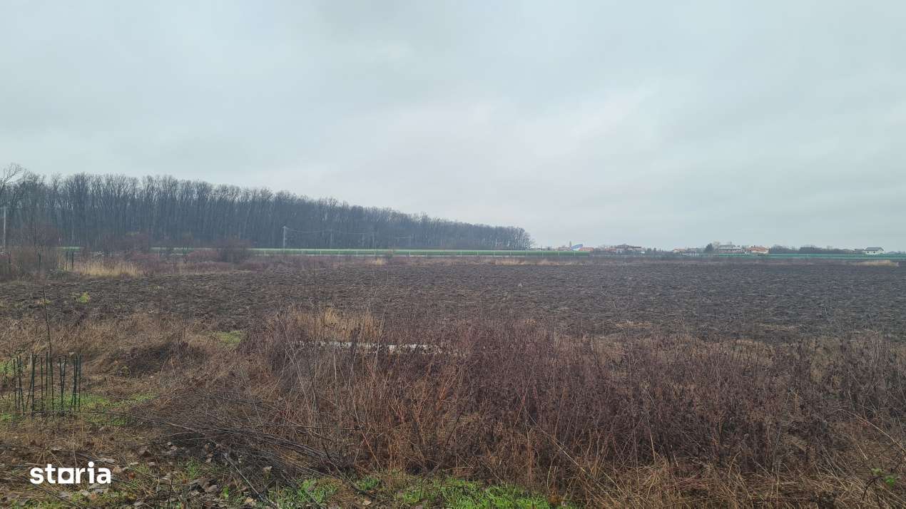 Teren premium rezidential sau industrial 26.651mp Corbeanca – acces-11