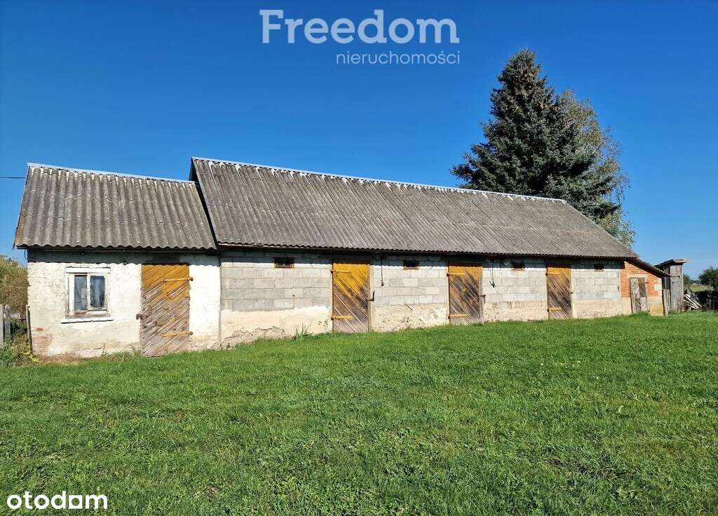 Siedlisko z potencjałem-dom i grunty rolne ok. 5 h - Pełny obrazek: 5/9