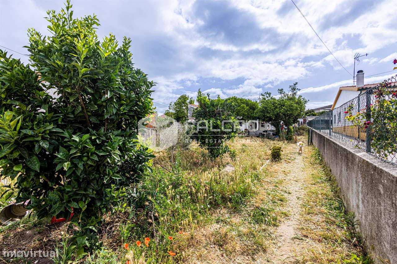 Moradia T3 Venda em São Vicente do Paul e Vale de Figueira,Santarém-16