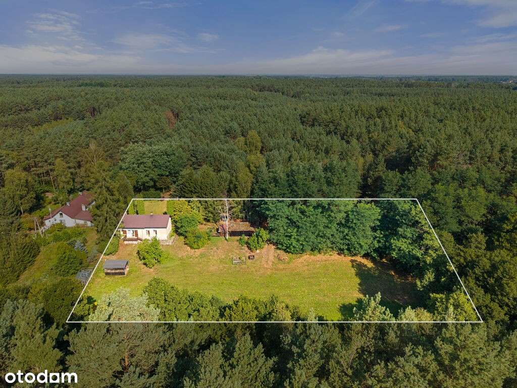 Luksus natury – 1,37 ha ziemi z domem i lasem - Pełny obrazek: 4/20