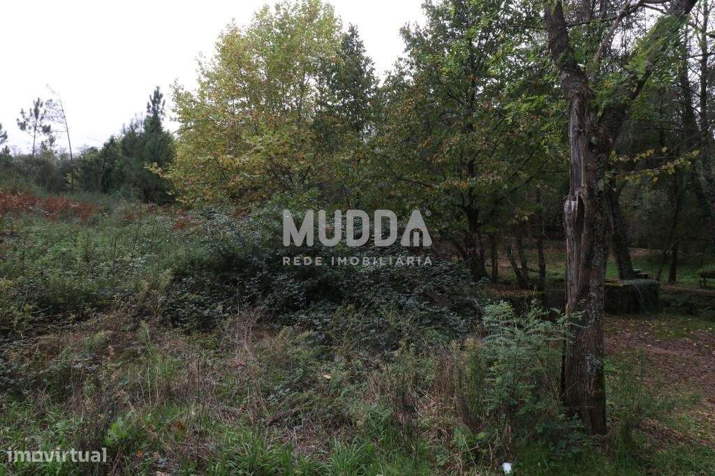 Venda Terreno - Grande imagem: 4/5