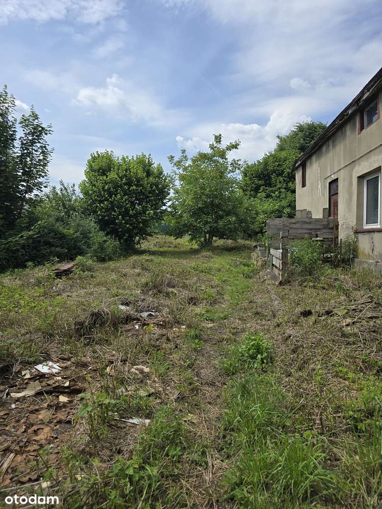 Preczów, dom do kapitalnego remontu, ładna działka
