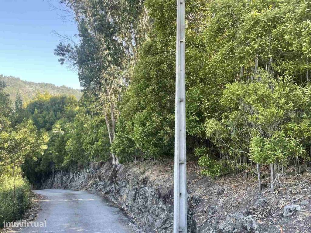 Terreno para cosntrução - Grande imagem: 4/4