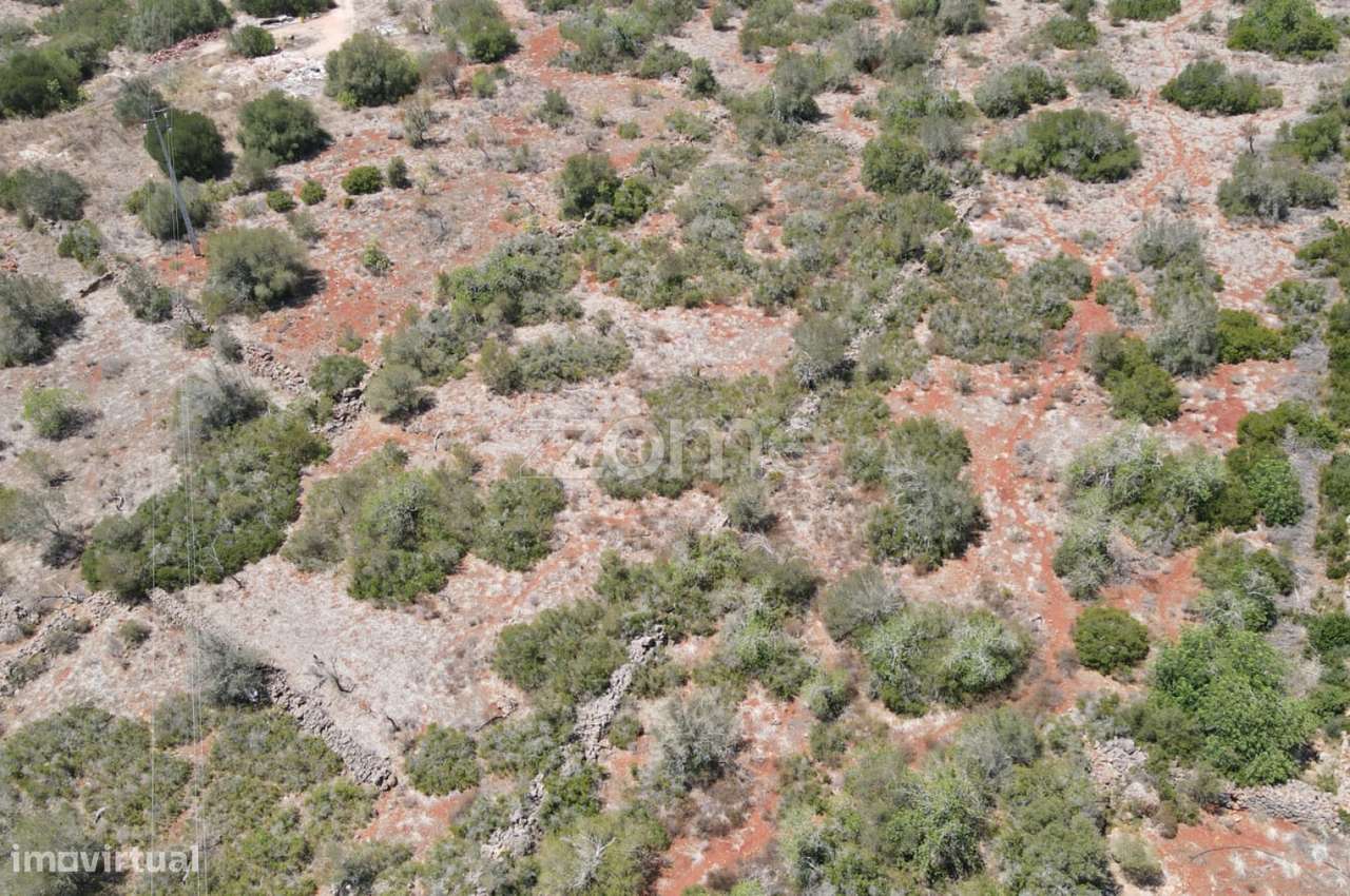 Terreno rústico em Messines, Casas Velhas, com 2.960m2 - Grande imagem: 3/18