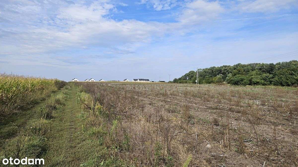 Działki Zagrodowe 30 i 50 arów, łacznie 3,5ha - Pełny obrazek: 4/6