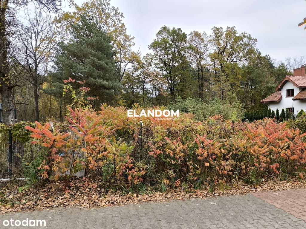 Działka w otulinie lasu - Stara Miłosna - Pełny obrazek: 1/6