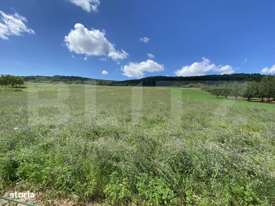 Teren intravilan in suparafat de 19213 mp, zona Valea Mitii - Imagine principală: 2/5