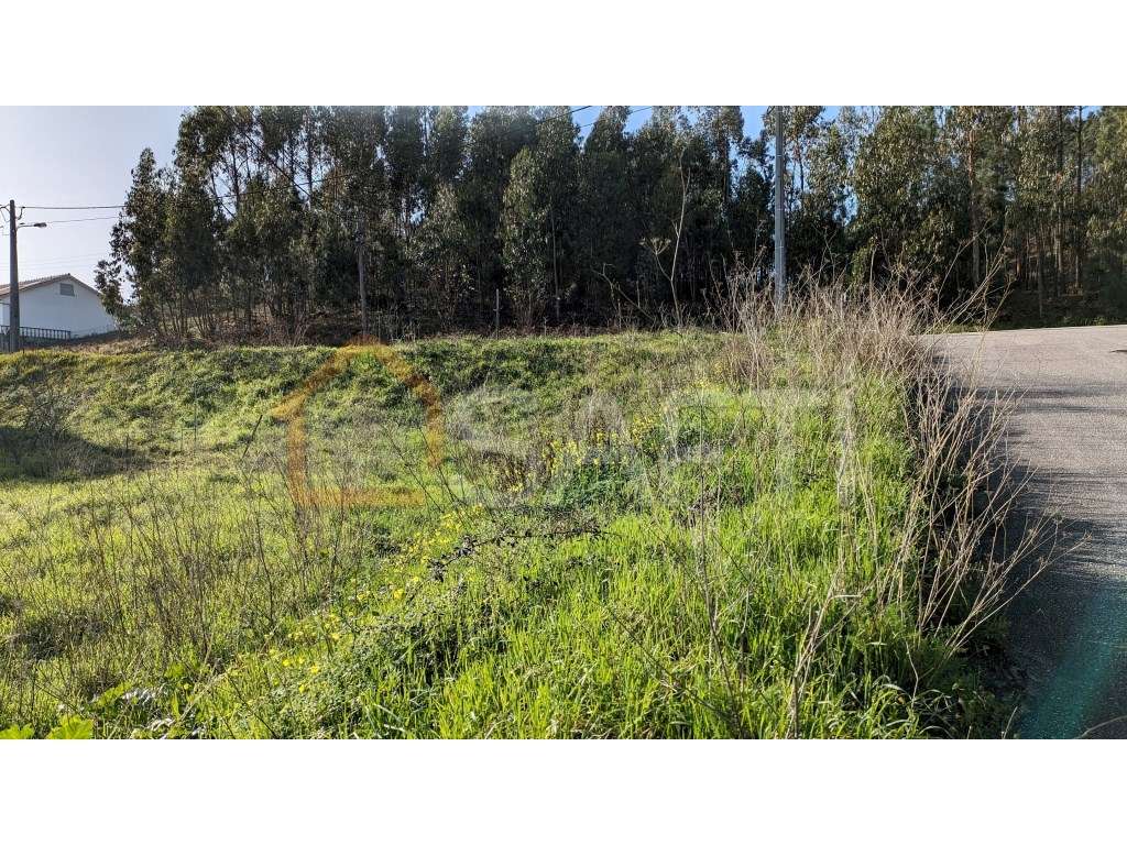 Lote para construção - Grande imagem: 4/11