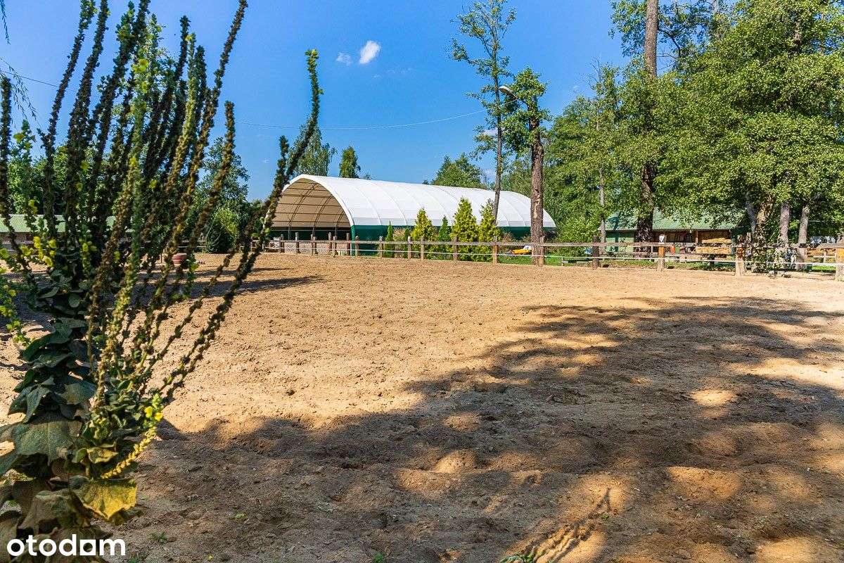 Rancho | Magiczne miejsce | Stajnie - Pełny obrazek: 5/20