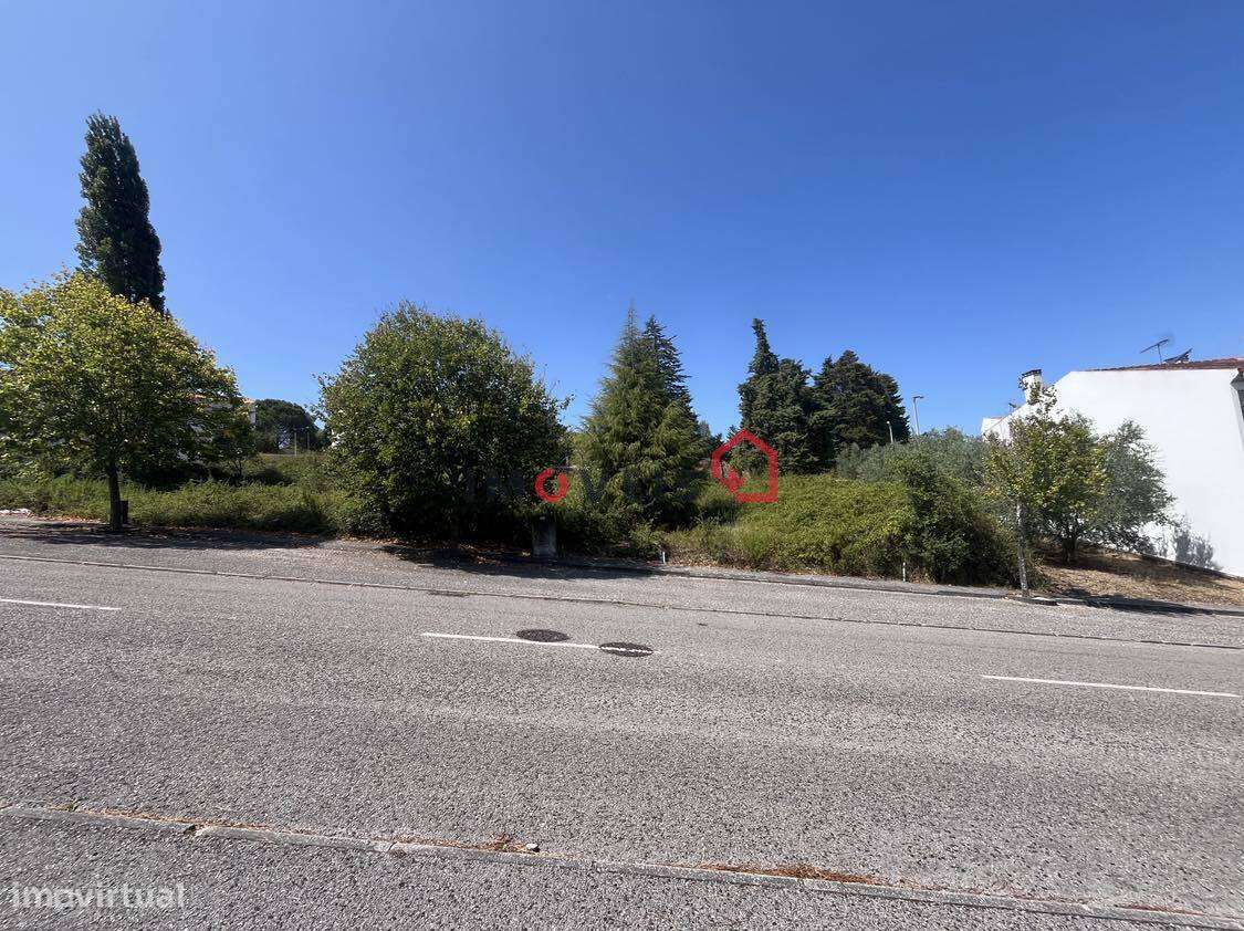 LOTE 79 – Quinta do Rei – Leiria - Grande imagem: 2/7