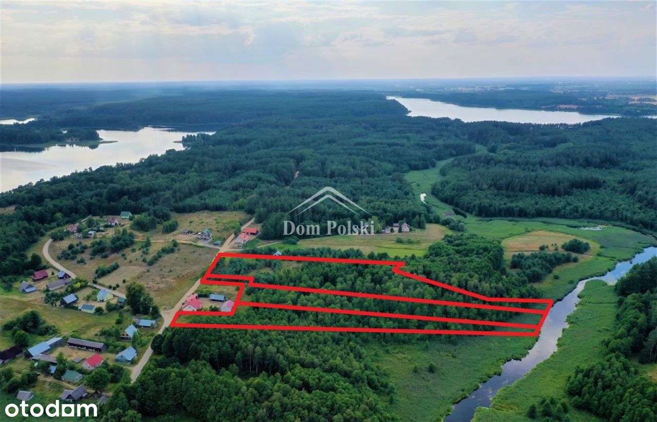 Działka 0,97 ha w Puszczy Augustowskiej - Zelwa - Pełny obrazek: 4/13