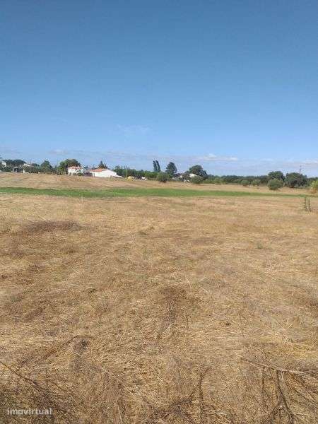 Ultimos terrenos, 5mil euros de entrada - Grande imagem: 4/9