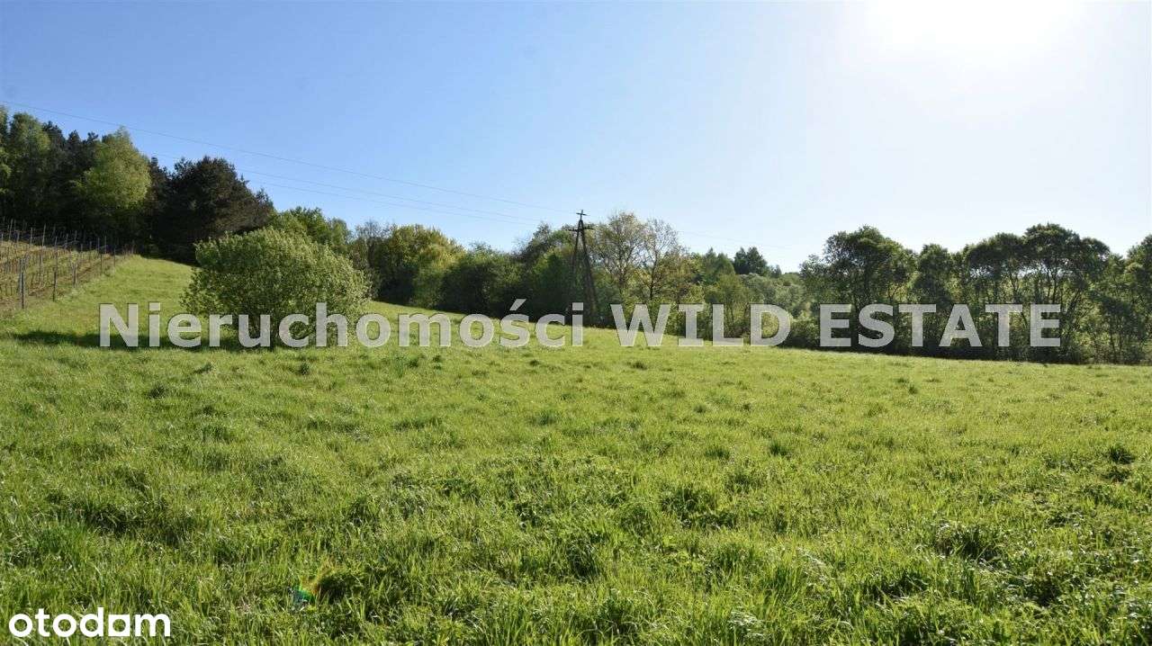 Działka, 6 587 m², Ustrzyki Dolne - Pełny obrazek: 4/8