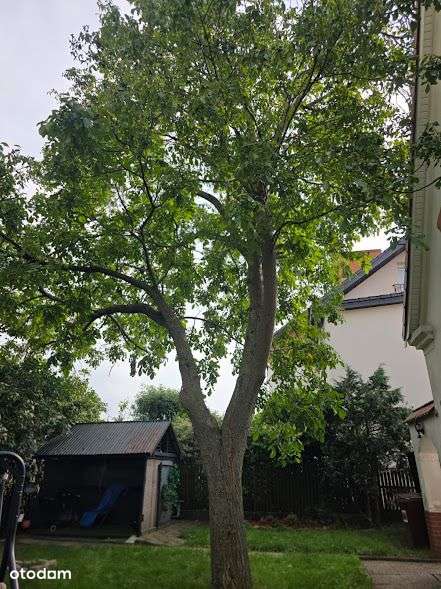 Piękne mieszkanie w willi plus ogród plus garaż.-13