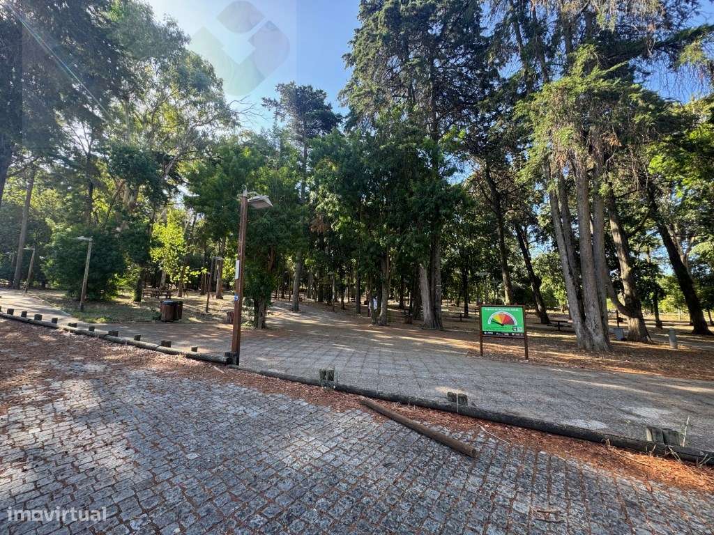 Moradia frente Monsanto, Excelente oportunidade, T2, por recuperar!-43