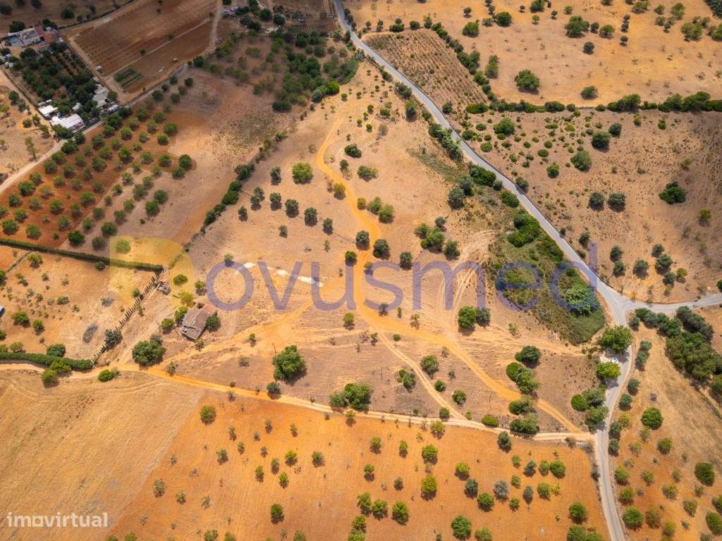 Quinta de 2,1 ha com Potencial para Turismo Rural- Guia Valverde-32
