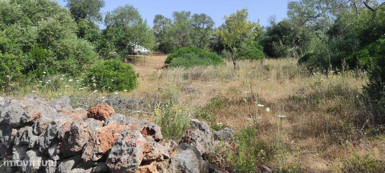 Terreno  para venda - Grande imagem: 5/12