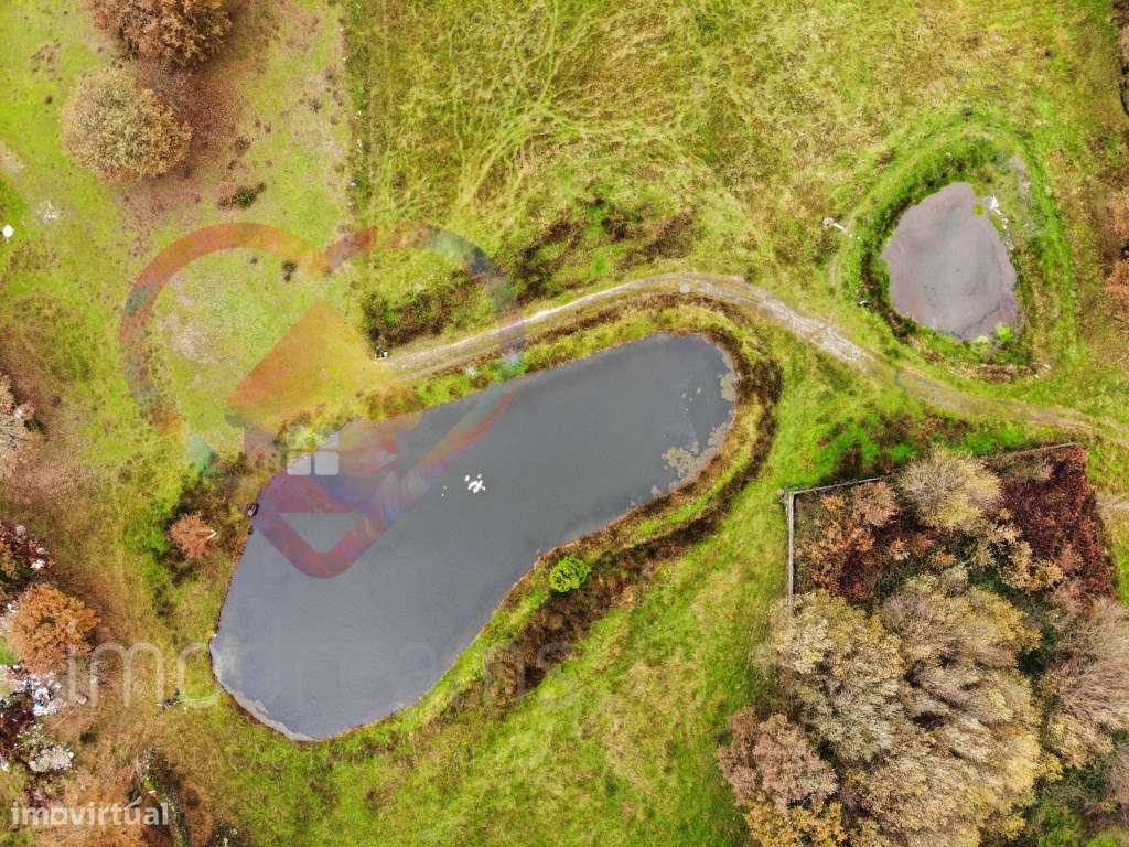 Quinta T6 em Viseu-28