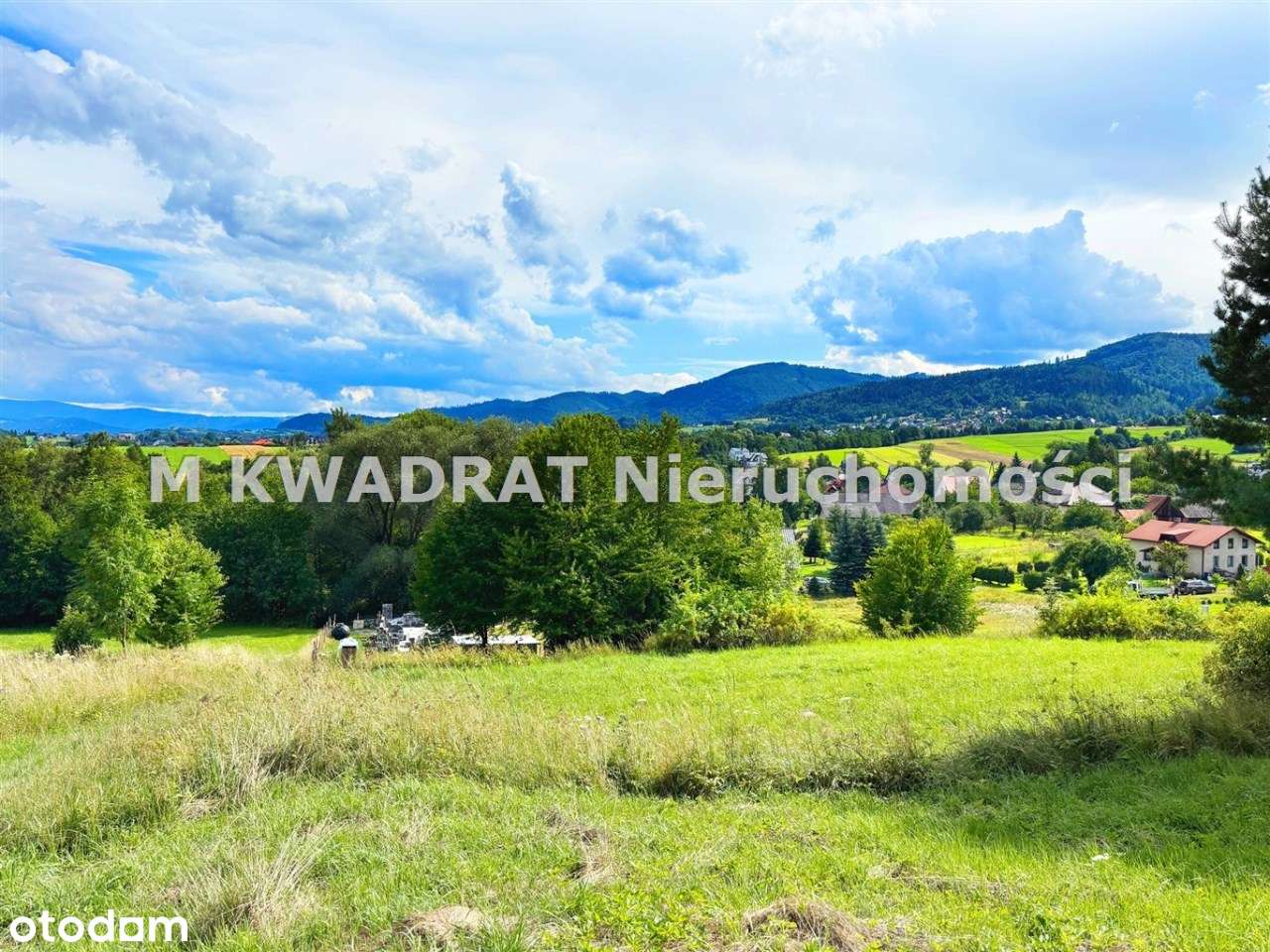 Widokowa Działka! Lipowa! - Pełny obrazek: 5/11