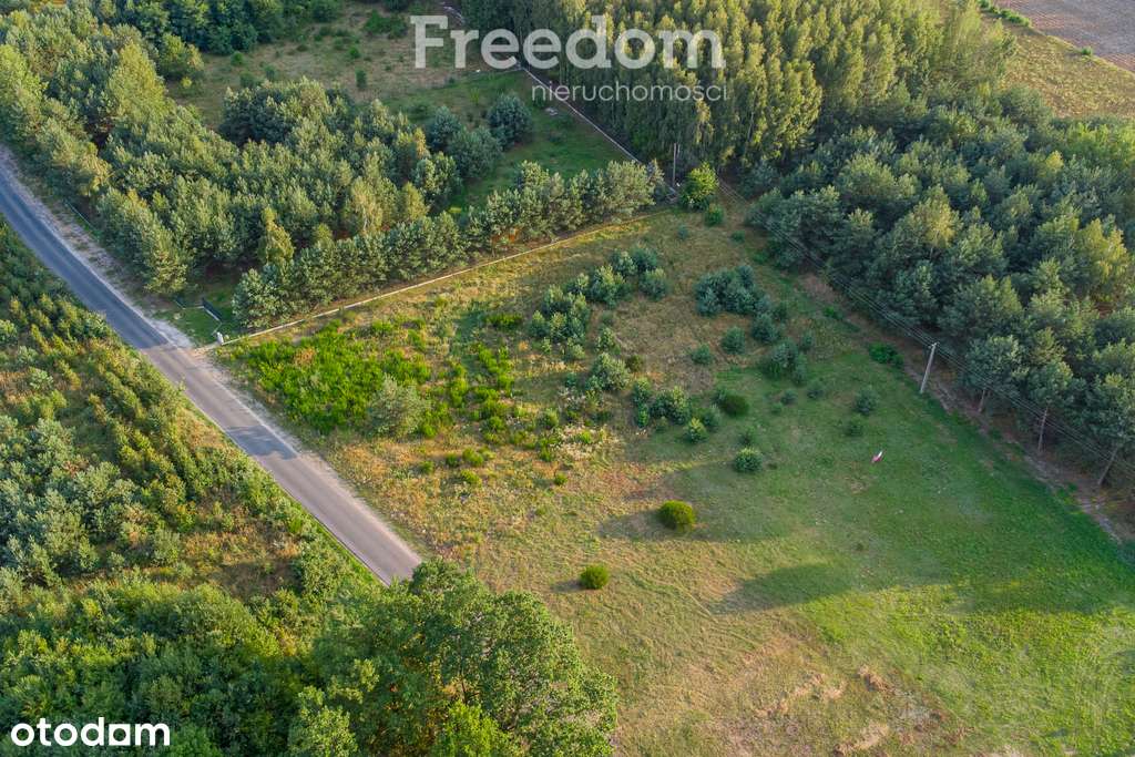 Piękna działka pod budowę domu Grzegorzewice - Pełny obrazek: 4/20