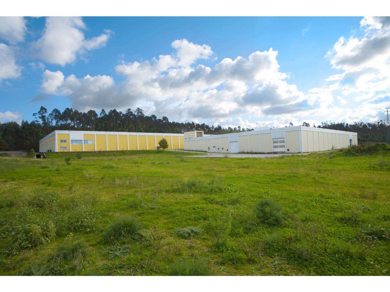 Armazém Arrendamento - Trofa - Grande imagem: 5/5