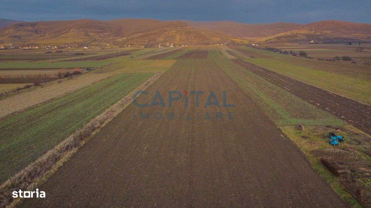 Comision 0%! Teren 23 600 mp, front 45 ml, la drum national, utilitait - Imagine principală: 4/6