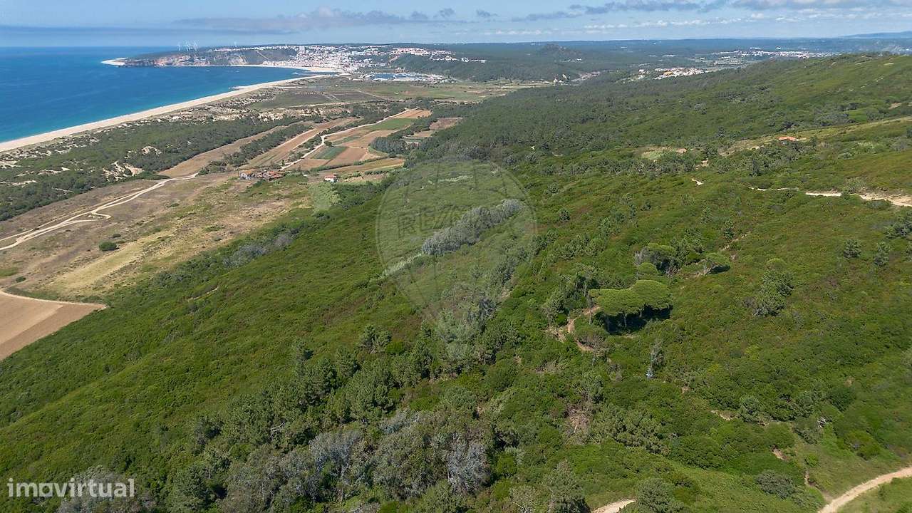 Terreno  para venda-12