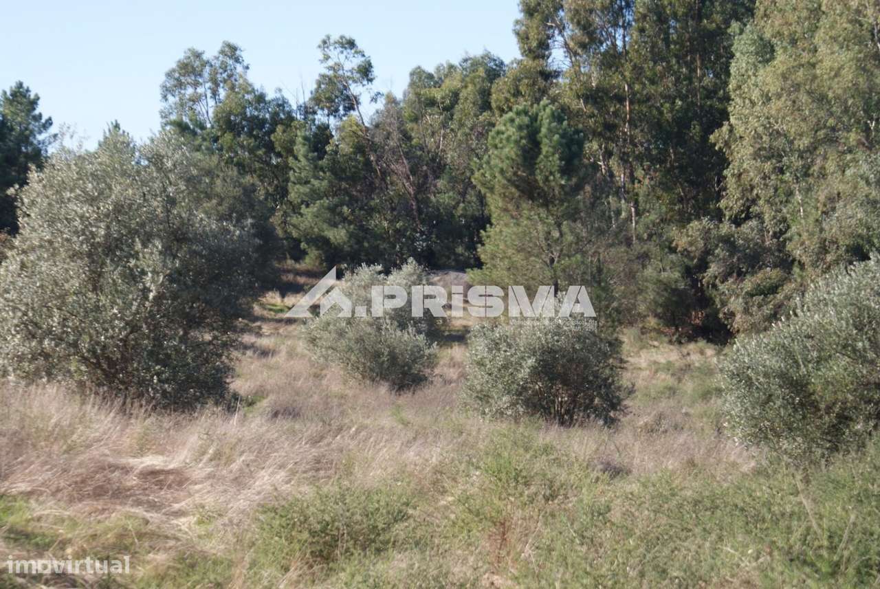 Oportunidade Única às Portas de Castelo Branco!-22