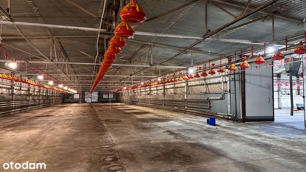 Częściowo zabudowana rolno-produkcyjna-8