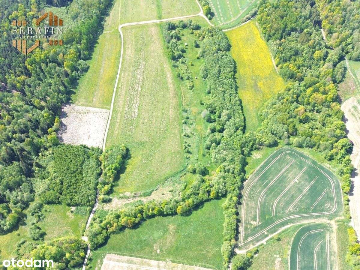 Działka rolna Dziwiszów - Pełny obrazek: 5/11