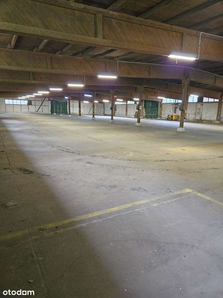 HALA MAGAZYNOWA 1200 m2 - Pełny obrazek: 4/4
