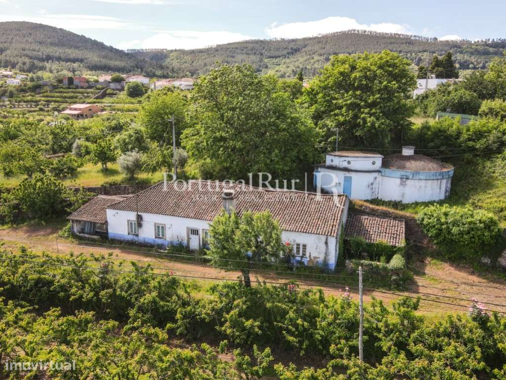 Quinta de 4 ha com 3 casas e cerejeiras no Fundão, ideal para turismo-47
