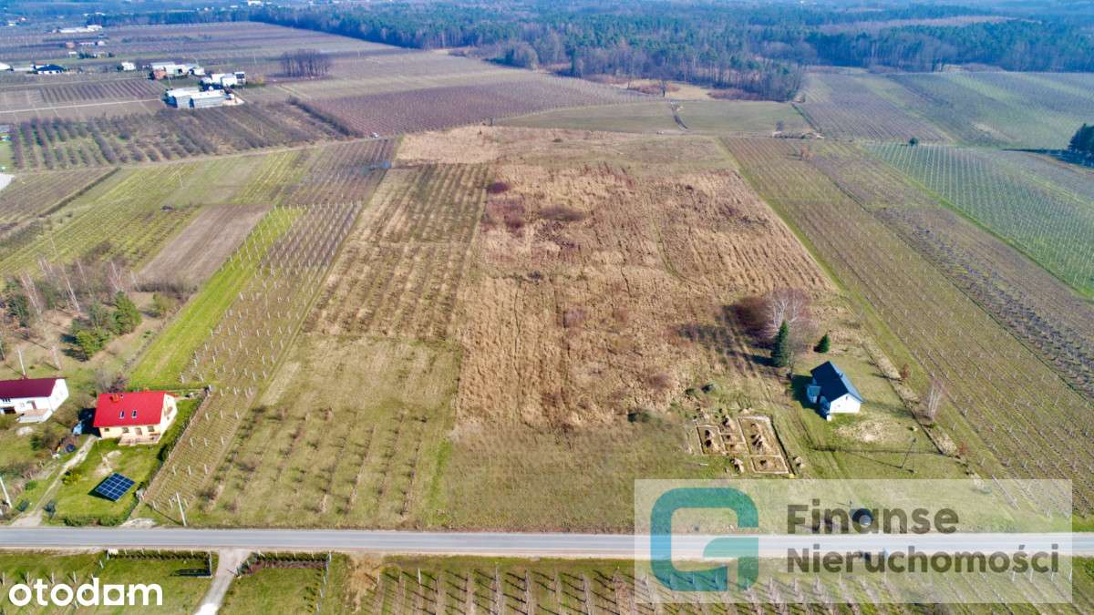 Działka budowlana w Osieczku, gm. Pniewy - Pełny obrazek: 5/15