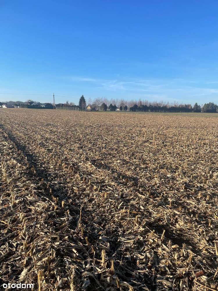 Atrakcyjna działka budowlana-5