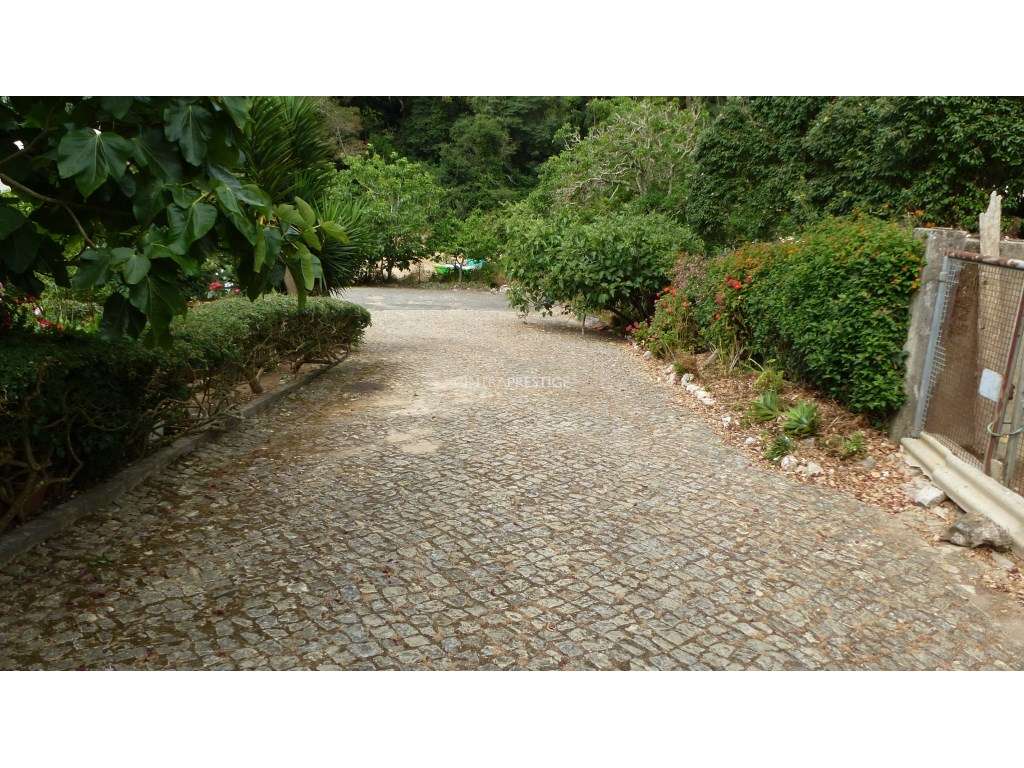 Terreno Urbano com 856m2 PIP em Aprovação na Portela de Sintra-9