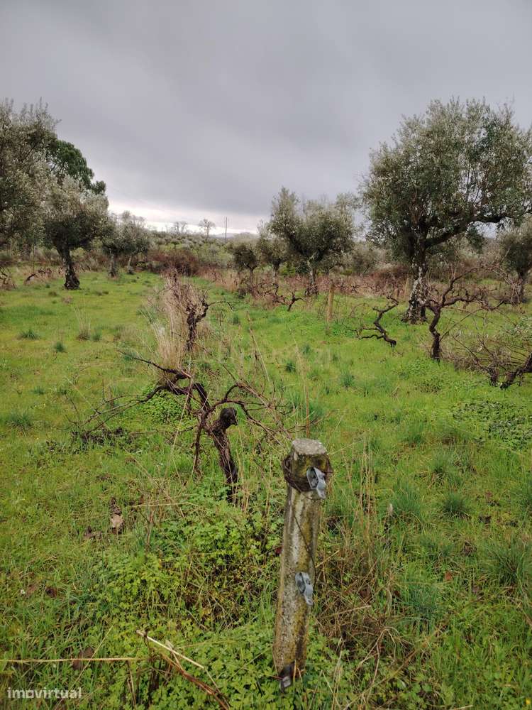 OPORTUNIDADE DE INVESTIMENTO ESTRATÉGICO- Terreno Urbano com 44.250 m²-9