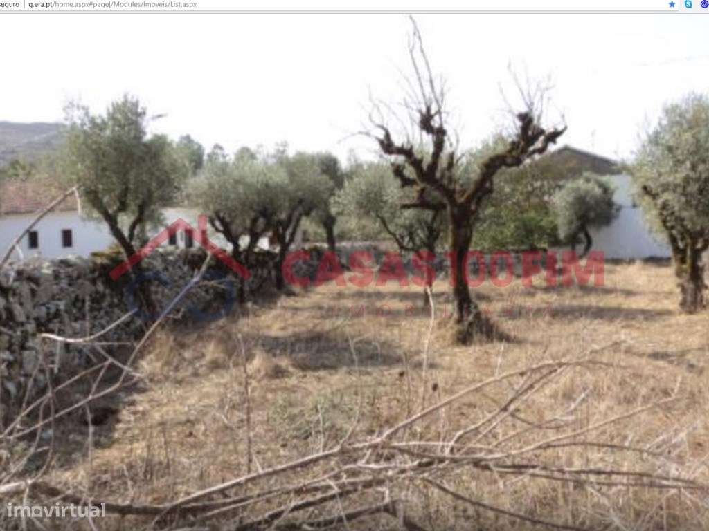 Terreno urbano 880 m² em Arrimal, Porto de Mós - Grande imagem: 2/3