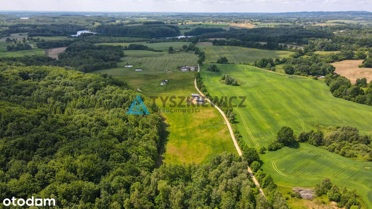 Duża działka budowlana  blisko jeziora  Trzepowo - Pełny obrazek: 3/20