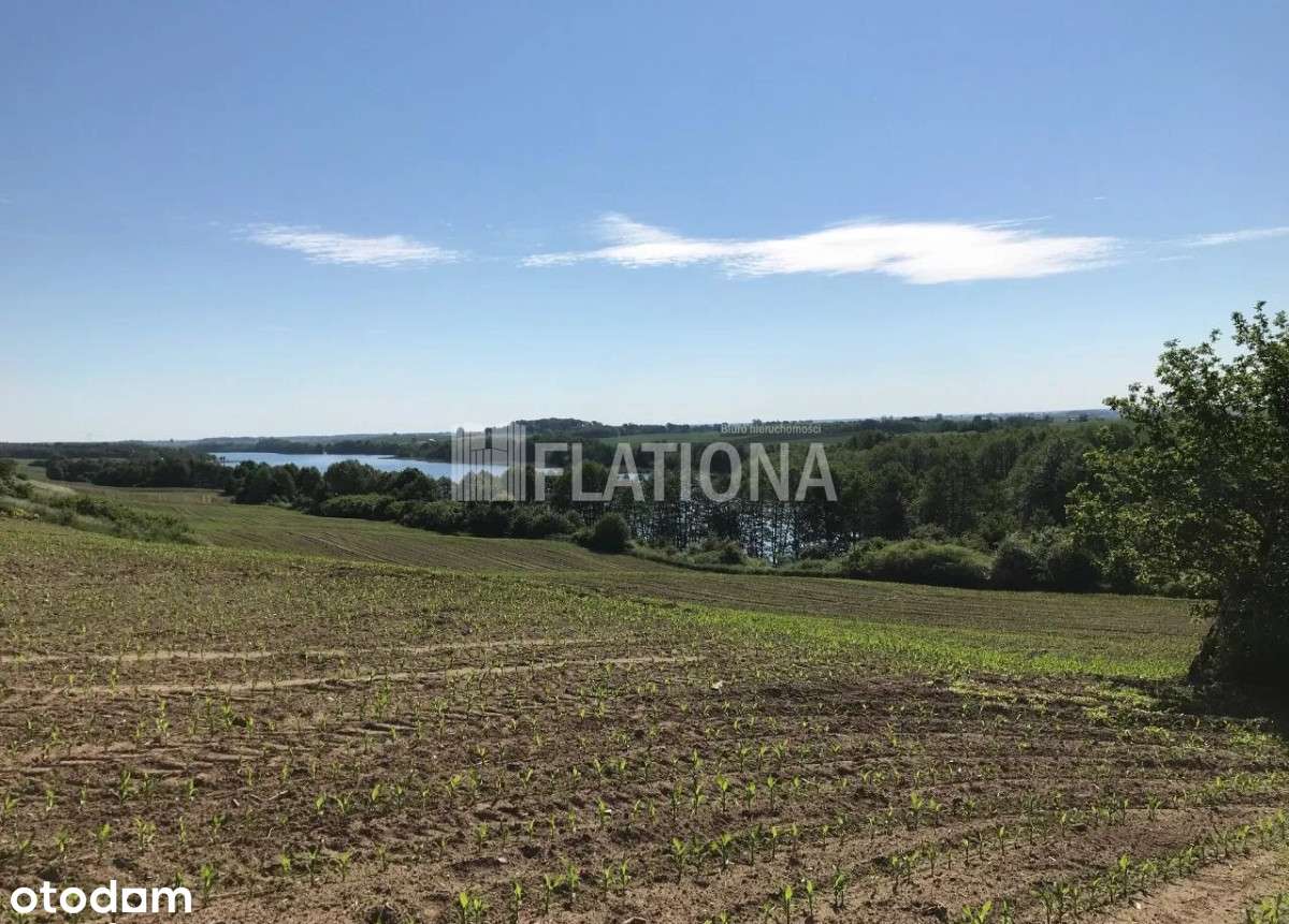 Działka o powierzchni 3919m2-4