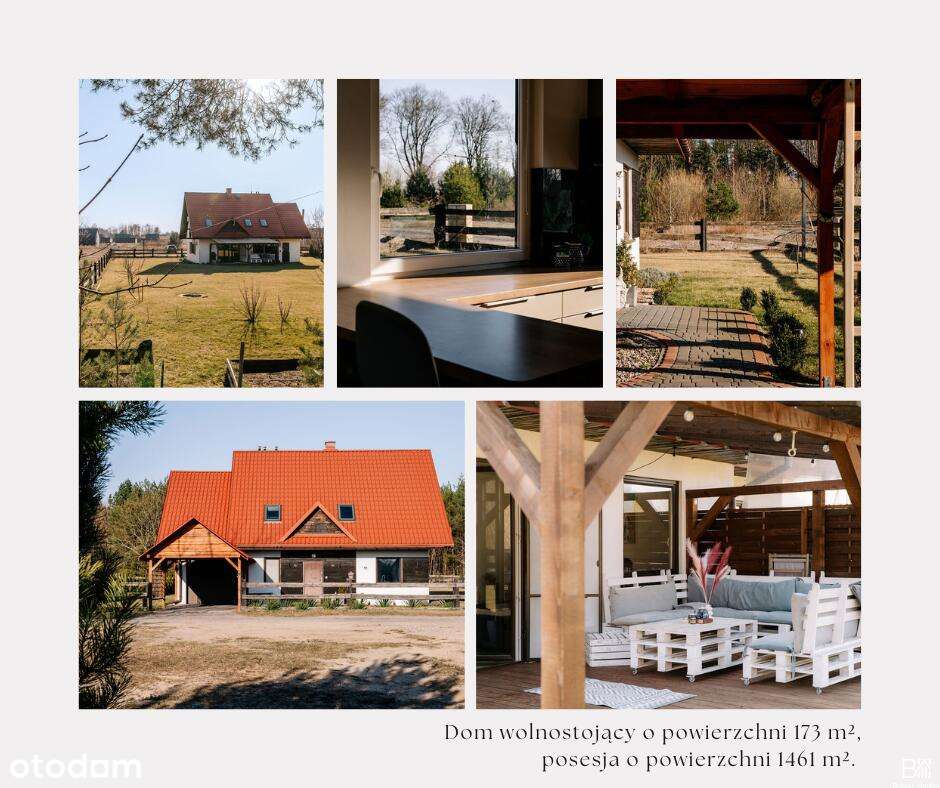 Dom na szlaku WJM - Pełny obrazek: 4/20