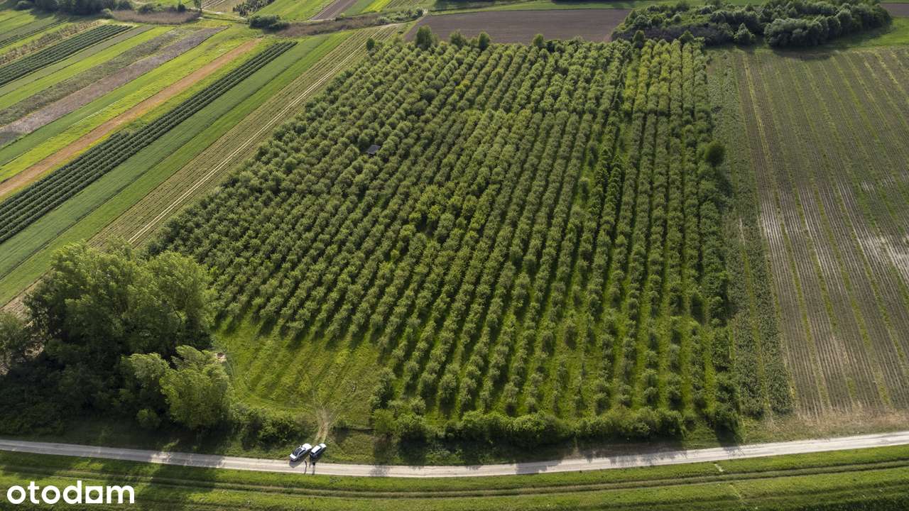 Na sprzedaż działka gruntowa 4,7424 HA - Kolonia Boiska-0
