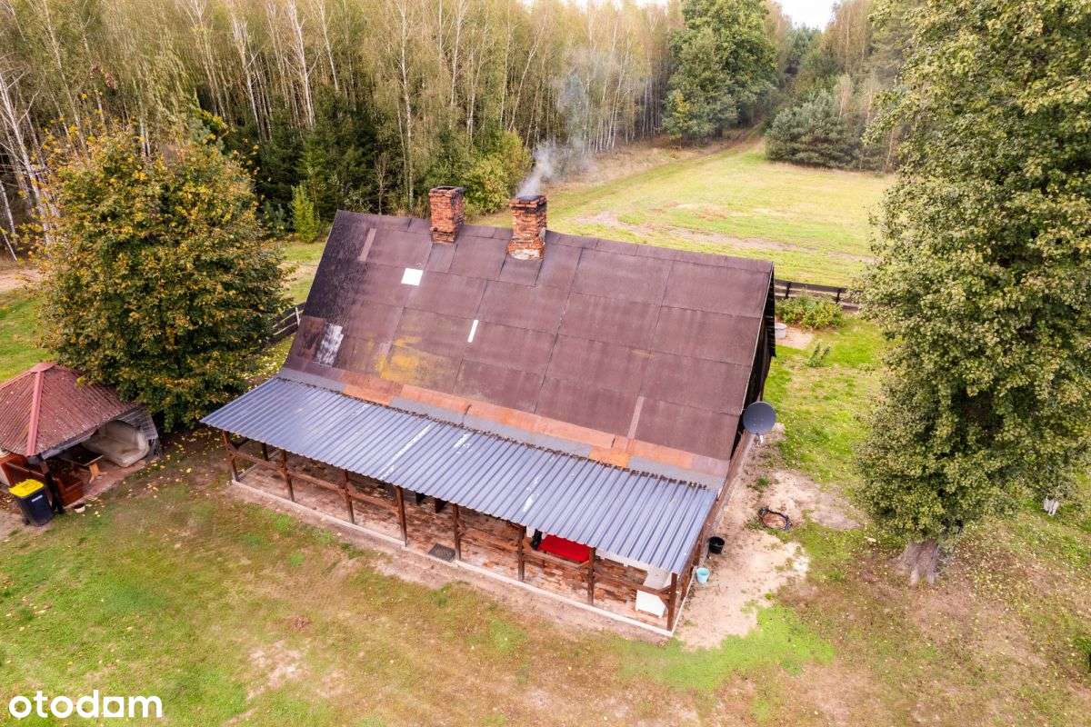 Siedlisko w m. Boruja Nowa-6