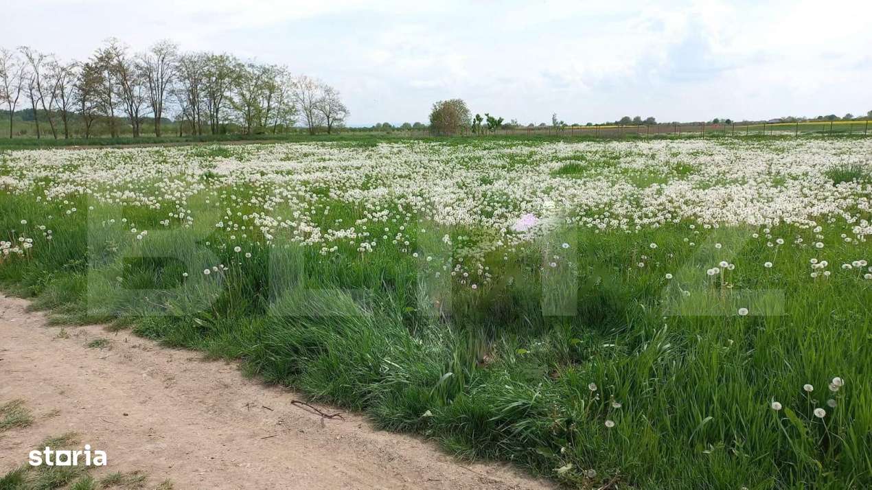 Teren intravilan de vanzare, 652 mp, in Vetis - Imagine principală: 2/2