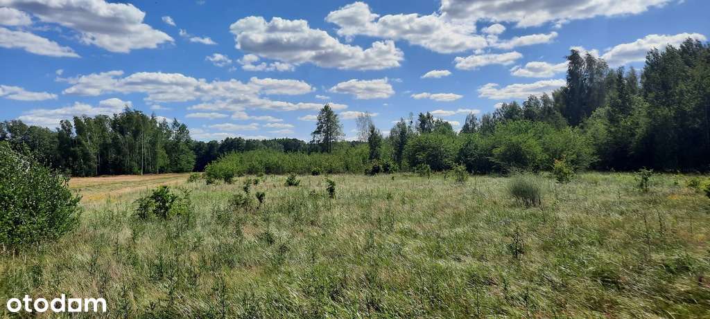 Halickie 2 duże działki - Pełny obrazek: 5/7