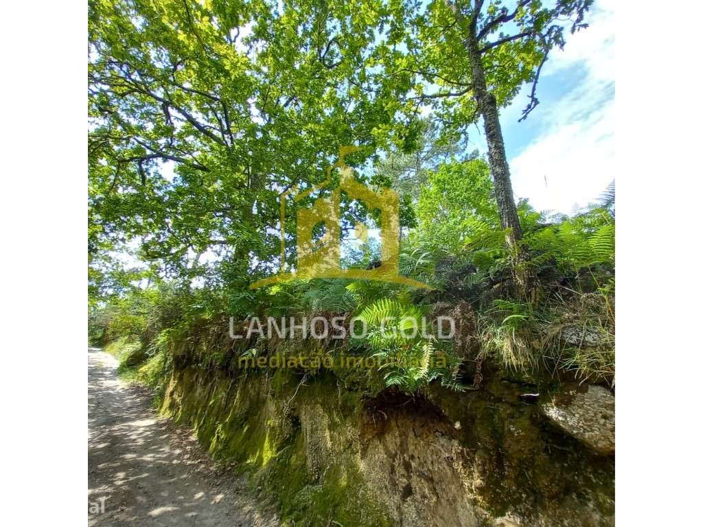 Bouça - Grande imagem: 2/8