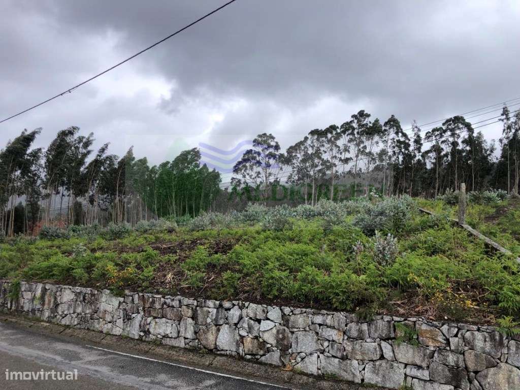 LOTE DE TERRENO | SILVA ESCURA - Grande imagem: 4/9