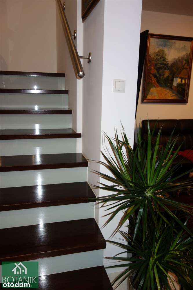 Bliźniak dzielnica Szerokie-18