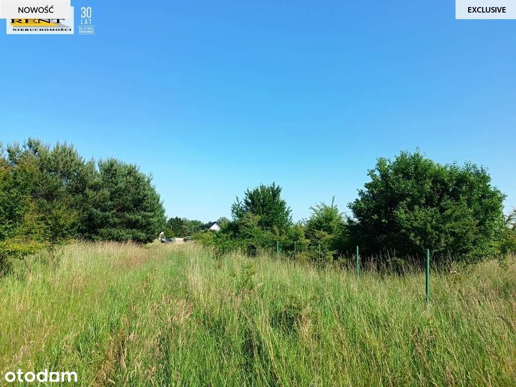 Działka w Niechorzu 700 m od plaży! - Pełny obrazek: 4/6